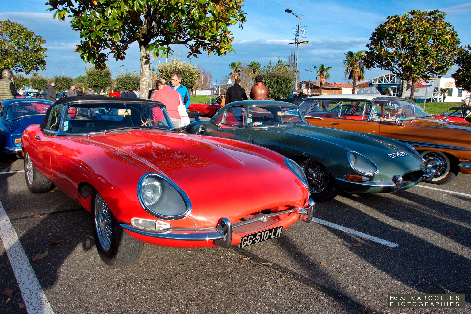 Jaguar Type E_02.jpg